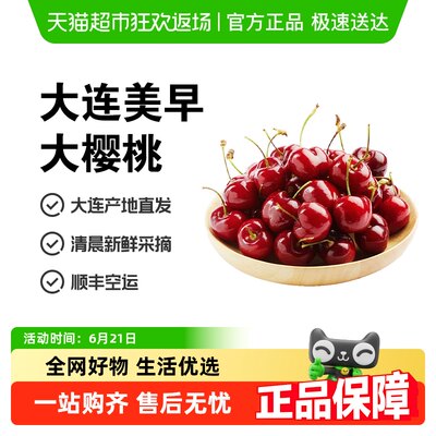 仙绘鲜大连美早樱桃