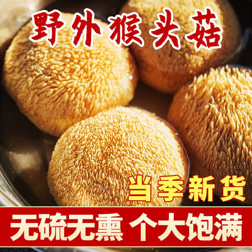猴头菇干货非野生煲汤新鲜野生猴头菇猴头菇粉养胃粉土特产