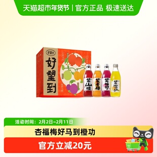 好望水果汁气泡水饮料好望到杏福梅好马到橙功新春礼盒300ml*8