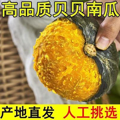 正宗山东寿光香糯甜板栗味贝贝小南瓜5斤新鲜蔬菜老南瓜惠和一号