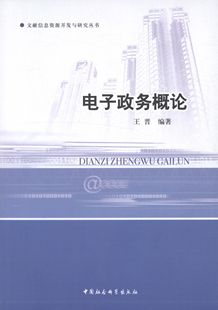 正版电子政务概论