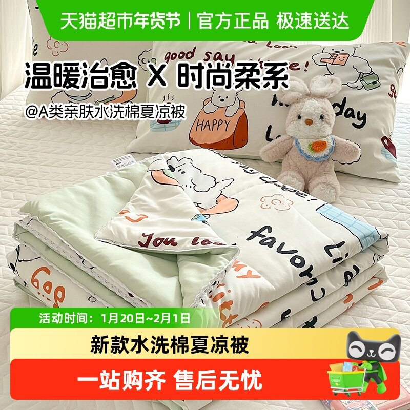 2025新款被子被芯水洗棉夏凉被空调被春秋被可机水洗夏季宿舍学生,床上用品,化纤被,淘宝优惠券,粉丝福利购,淘宝优惠卷