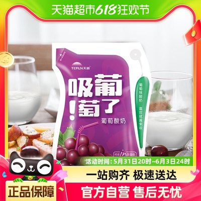 天润新疆特产葡萄酸奶风味发酵乳