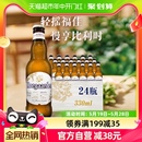 箱 24瓶 福佳白啤酒比利时风味精酿小麦330ml Hoegaarden