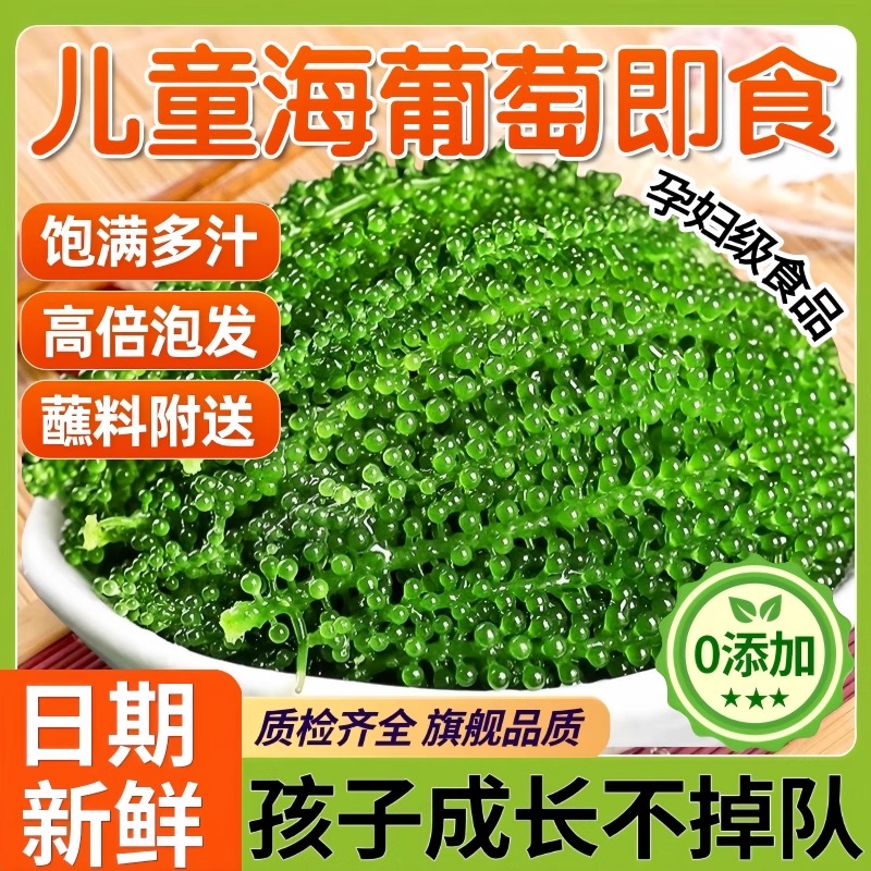 海葡萄儿童即食海葡萄植物鱼子酱海藻凉拌菜盐渍水葡萄爆珠浆海草