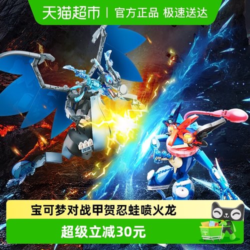 奇妙积木玩具宝可梦对战