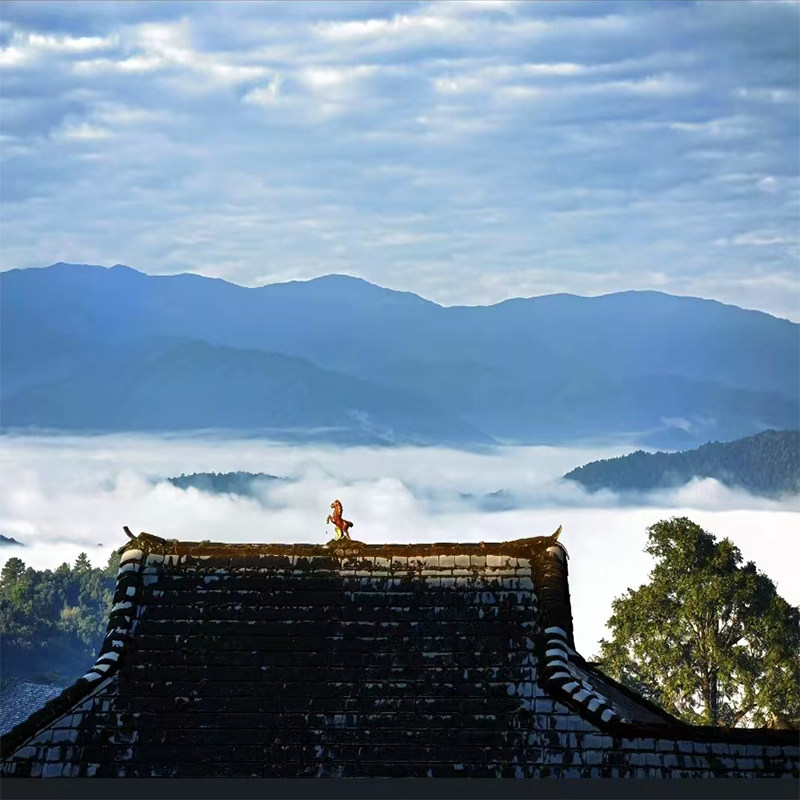 真纯玩2-8人小团云南旅游西双版纳景迈山10天跟团游+望天树+徒步