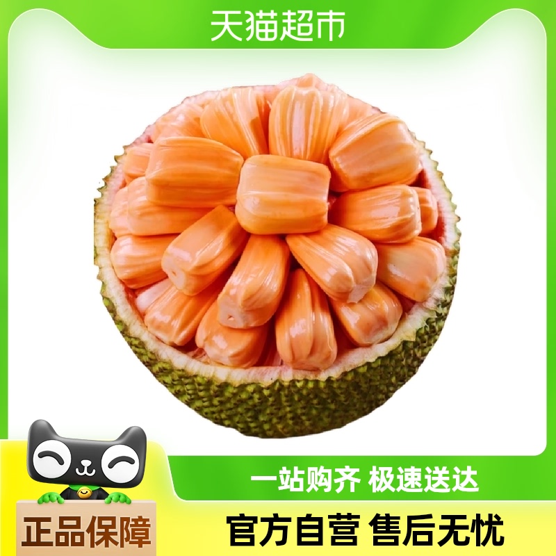越南黄肉菠萝蜜新鲜水果包邮越南红肉泰国菠萝蜜一整个整箱包邮