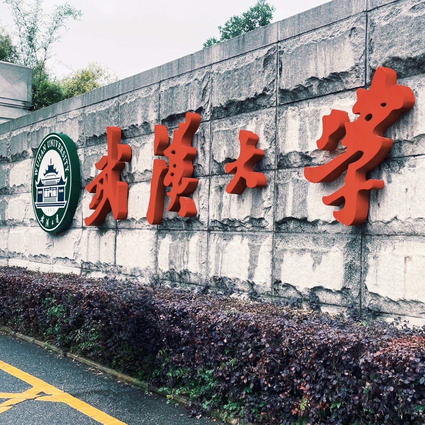 武汉大学一日游（可选学霸讲解.车辆入校报备.私家团导游讲解）