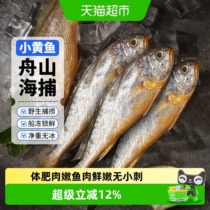 赫敏舟山小黄鱼深海捕捞海鱼小黄花鱼生鲜海鲜水产新鲜冷冻烧烤