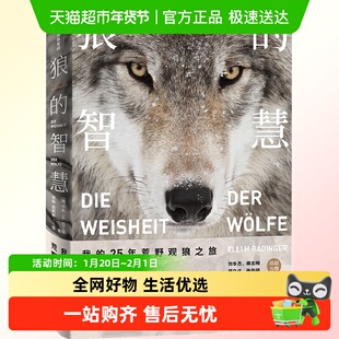 狼的智慧我的25年荒野观狼之旅东非野生动物手册第三种猩猩猎豹
