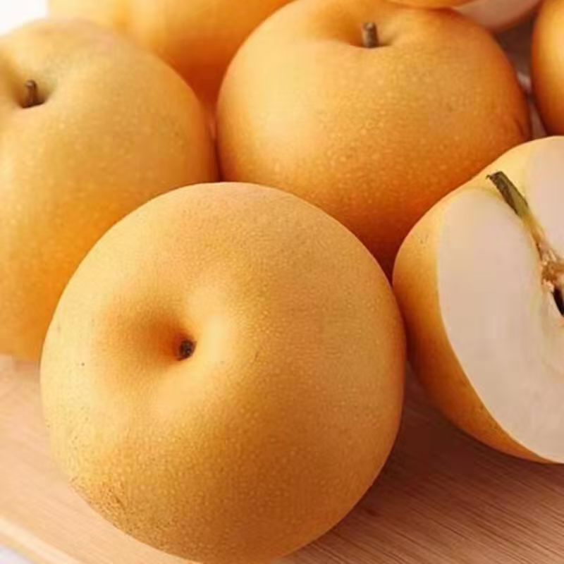 正宗丰水梨薄皮新鲜冰糖梨子水果脆甜多汁批发当季新鲜水果