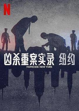 凶杀重案实录：纽约第二季