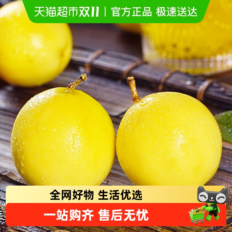 胡鲜森钦蜜9号黄金百香果