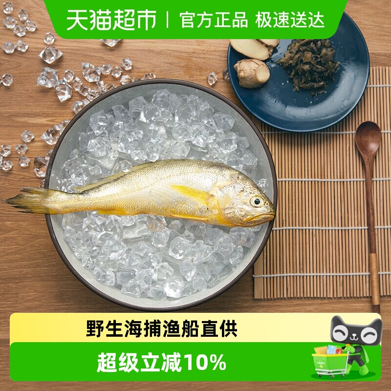 浙奉渔东海纯野生新鲜速冻小黄鱼野生黄花鱼野捕拖网海鲜冷冻