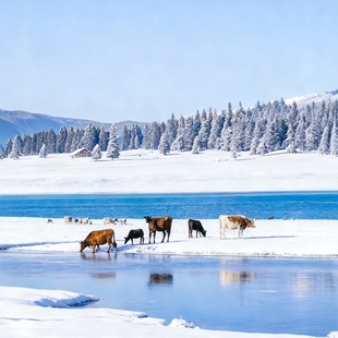 8人小团 |滑雪+越野+驯鹿+冬捕+雪乡|乌兰布统木兰围场承德5天4晚