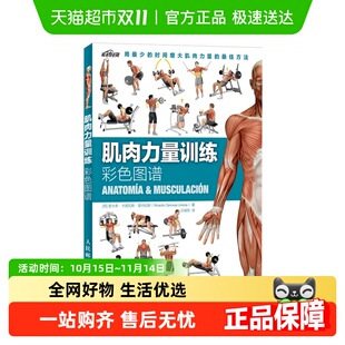 肌肉力量训练彩色图谱拉伸训练书肌肉训练图谱塑造新华书店运动