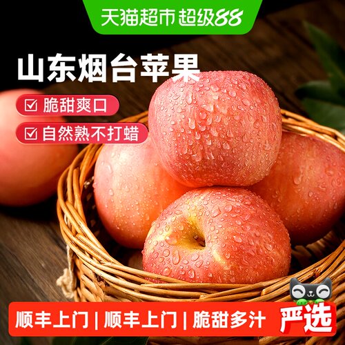 山东烟台富士苹果新鲜水果