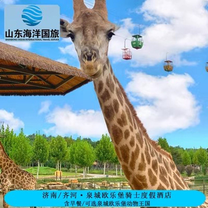 欧乐堡骑士度假酒店+梦幻世界+骑士餐厅