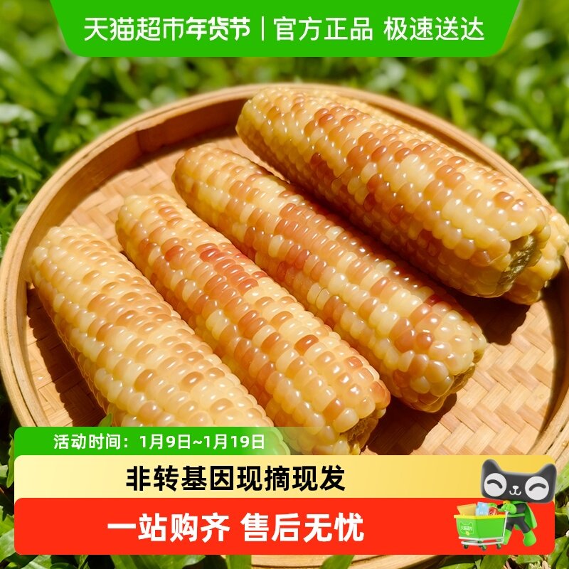 �ƺ�Ŵ��˫�������ʻ�Ŵ����������Ŵ������������Ʒ�����װ� 1.5kg ��ѡ��Ŵ������ 21.66Ԫ(��88VIP 95��)