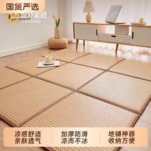 2025新款凉席地垫睡觉打地铺神器榻榻米床垫爬爬垫家用席子藤席垫