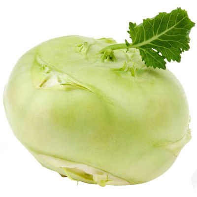 菜园栽培疙瘩种子