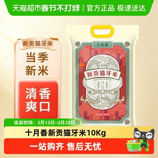 十月香新贡猫牙米长粒米10kg大米籼米20斤当季新米南方大米丝苗米