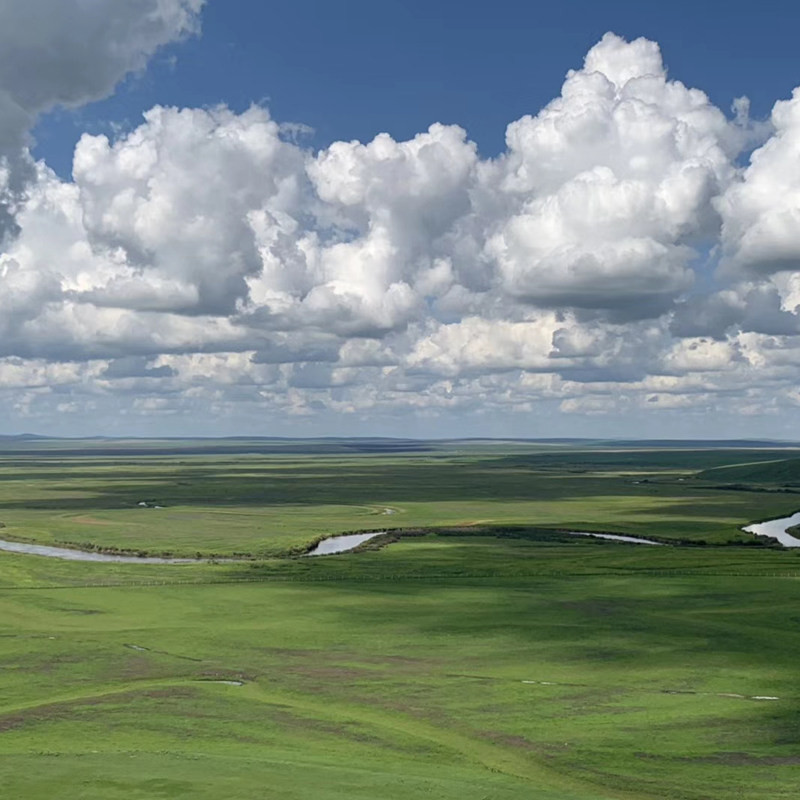 内蒙古呼伦贝尔大草原全境旅游包车定制游亲子家庭1日游多日游
