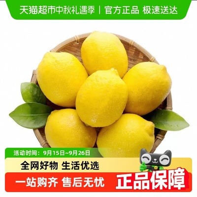 果园密码安岳黄柠檬