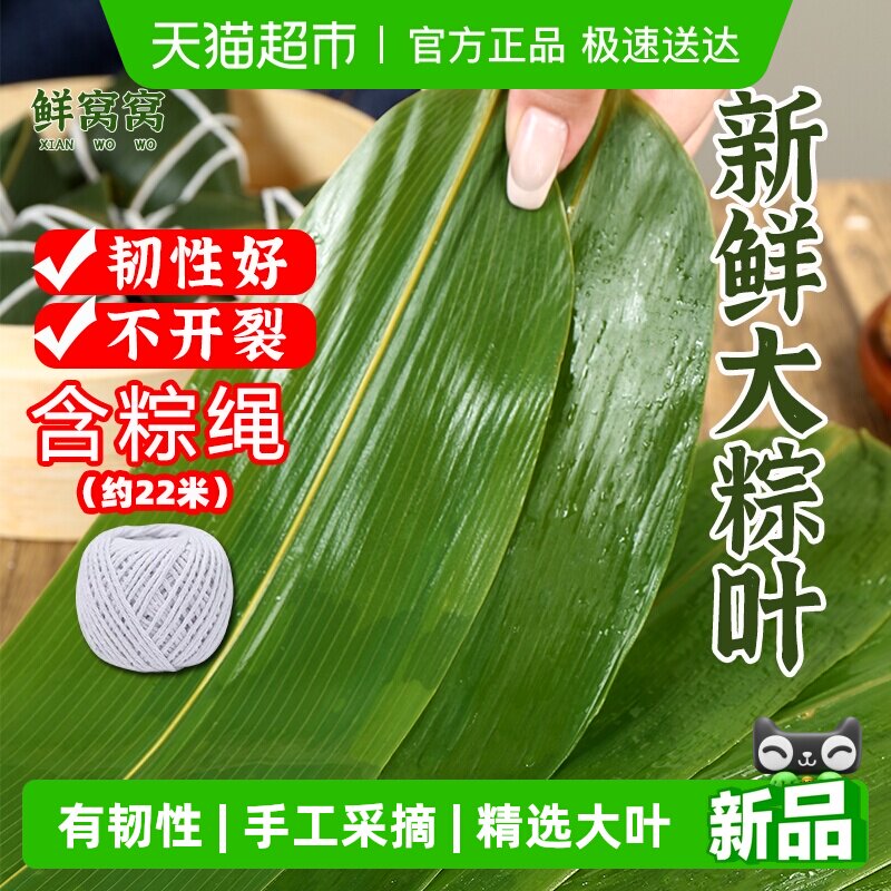 鲜窝窝大号粽叶新端午节鲜粽子叶端午节包粽子专用家用宽粽叶食材