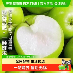 正宗贵妃枣牛奶大青枣新鲜冬枣时令水果当季整箱奶油脆枣孕妇