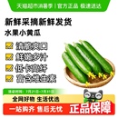详情页补贴折上折 水果黄瓜生吃蘸酱荷兰无刺时令白玉黄蔬菜水