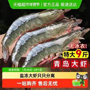 大虾鲜活超大基围虾特大青虾冷冻青岛鲜对虾速冻海虾虾类海鲜水产