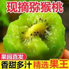 绿心猕猴桃奇异果大果正宗新鲜应季水果现摘泥弥核桃整箱非徐香