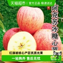 新疆阿克苏苹果脆甜红富士苹果新鲜应季 不套袋光果时令多汁鲜苹果