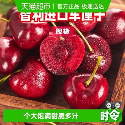 攀果智利现货新鲜车厘子大樱桃