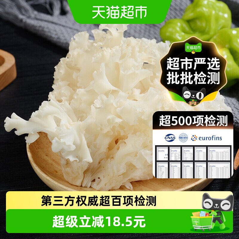 玲珑岭古田新鲜绣球菌营养丰富图片