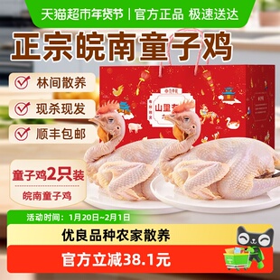 九华礼童子鸡2只±1500g皖南林中农家散养土鸡新鲜现杀小公鸡笨鸡