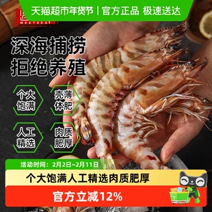 遇上鲜舟山竹节虾九节虾新鲜速冻大海虾斑节虾非鲜活黑虎虾基围虾