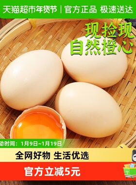 雀淘AA级新鲜土鸡蛋45g*20枚无沙门氏菌农家柴草温泉蛋营养早餐
