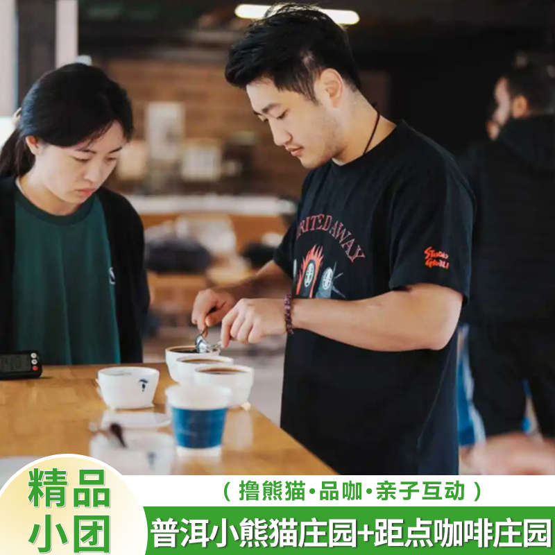 普洱国家森林公园+炬点咖啡精品私家团【接送+互动+咖啡讲解】