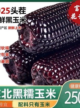 头茬大棒10支新黑糯玉米新鲜现摘真空装包甜糯黏黑玉米代餐