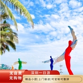 大梅沙 地王顶层观光 中英街一日游 金色海岸环岛游 深圳锦绣中华