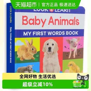 Look 书 and Learn Animals观察认识动物宝宝 Baby 英文原版