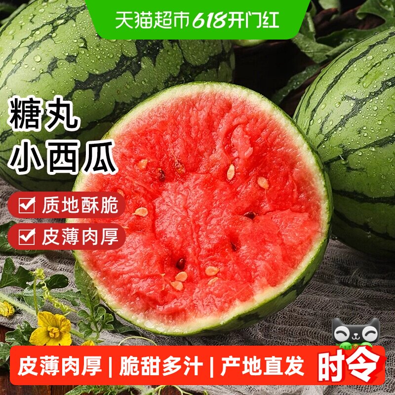 樱洛华山东手撕小西瓜皮薄如纸