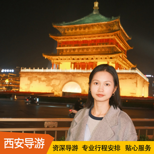 陕西西安周边伴游导游深度讲解私人定制中文英文小语种地陪服务