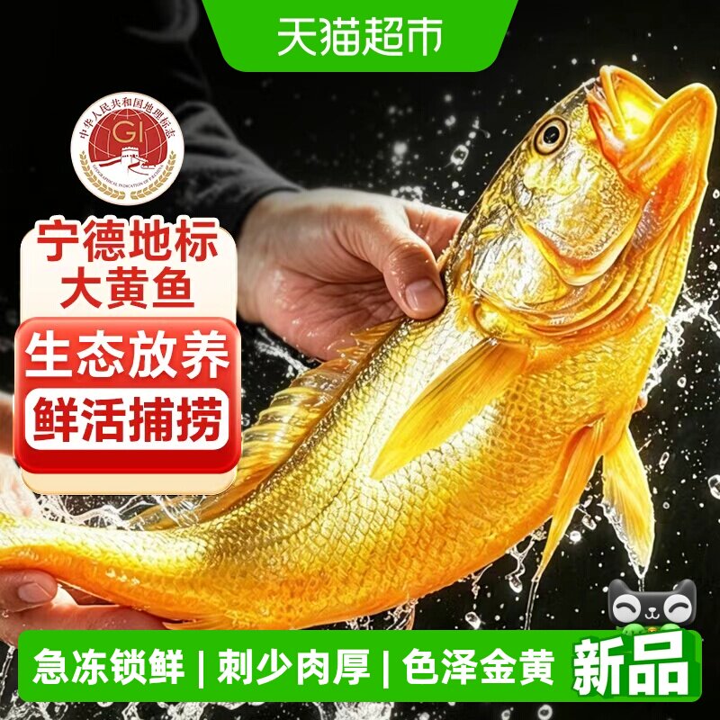 新货大黄花鱼新鲜冷冻生鲜水产鲜活冰鲜海鱼宁德小黄鱼黄鱼鲞商用