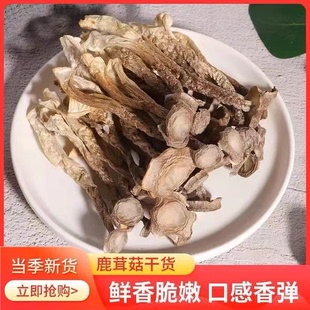 鹿茸菇干货500g 新货鹿茸菌新鲜煲汤古田脆脆菇干香菇 包邮