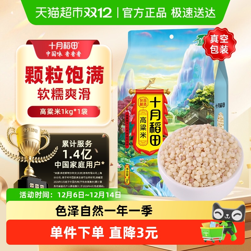 十月稻田高粱米五谷杂粮