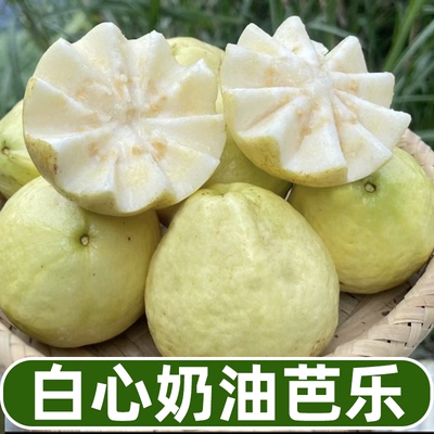 化州芭乐黄金奶油番石榴软心鸡屎白心应季新鲜孕妇水果软香甜整箱